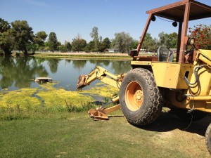 Golf is Dangerous