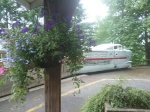 Zoo Train through Forest Park